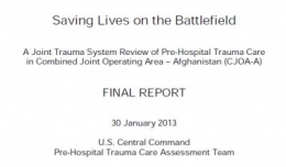 SaveLifesReport2013.jpg