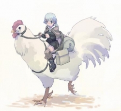 Bruit du Poulet