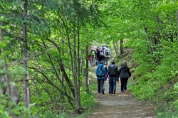 Retour vers le village