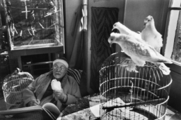 Cartier Bresson Colombes4.jpg