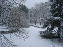 090106 Les deux choucas.jpg