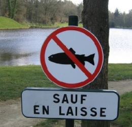 100401 poisson d'avril.JPG