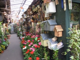 marché aux fleurs, paris, 