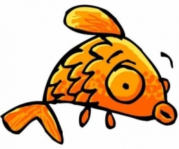 poisson.jpg