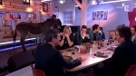 141208 Zapping-un-ane-fait-caca-en-direct-dans-C-a-vous.jpg