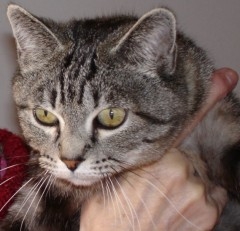 0901 Le Titi2.jpg