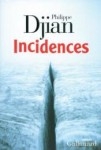 100413 Incidences.jpg