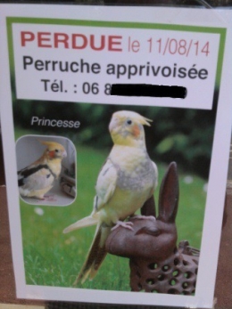 perruche, FLP