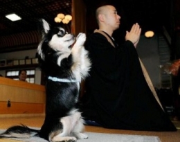110318 Prions pour le Japon.JPG