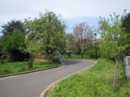 100428 Petit chemin.jpg