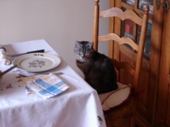 Titi 2007.JPG