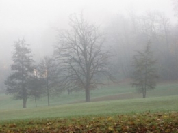 111123 Il ny a rien à voir.jpg