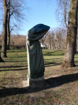tétons, artémis, forêt,