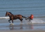 cabourg, chevaux, plage, mer, 