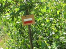 120710 Où il est question des Polonais.jpg