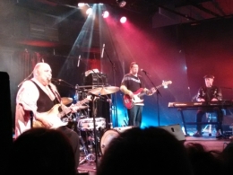 rock, blues, popa chubby, 