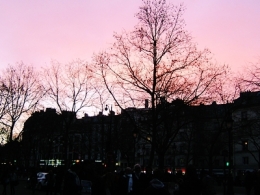 DSCF6954.JPG