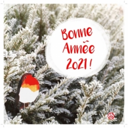 Bonne Année 2021.jpg