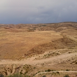 DSC_0116.JPG