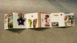 DSCF6860.JPG