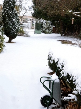 DSC_0178.JPG