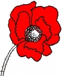 Coquelicot 7.jpg