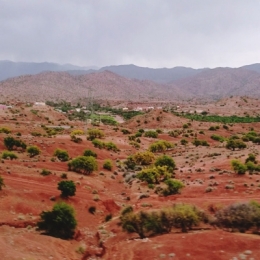 DSC_0113.JPG