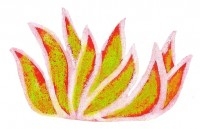 Fleur 004 pf.jpg