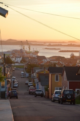 DSC_0678.JPG