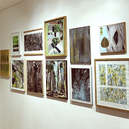 exposition,symbiose,arles