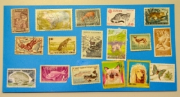 art postal,atelier,franconville,la lettre mystérieuse,collage