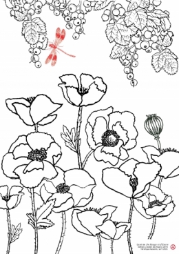 Coloriage Groseilles Coquelicots.jpg