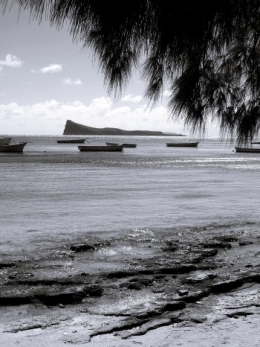 DSCF9554.JPG