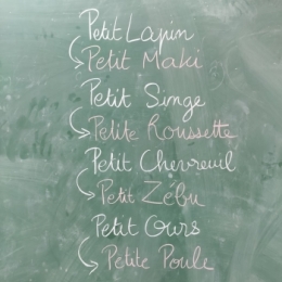 mayotte, réécriture, atelier d'écriture, atelier d'illustration, rencontres scolaires, Mayotte
