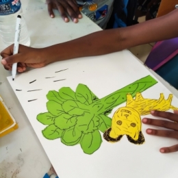 mayotte, réécriture, atelier d'écriture, atelier d'illustration, rencontres scolaires, Mayotte