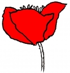 Coquelicot 9.jpg
