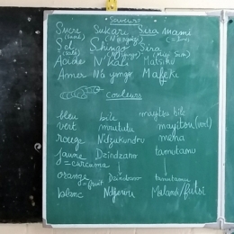 Chirongui 8.jpg