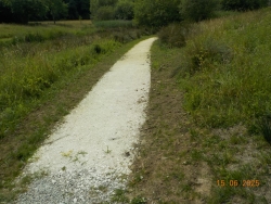 effet visite CAUE