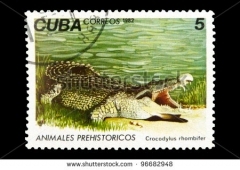 cubacrocodile.jpg