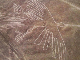 condor.jpg