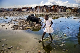 Haïti.jpg