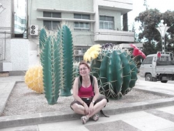 cactus !