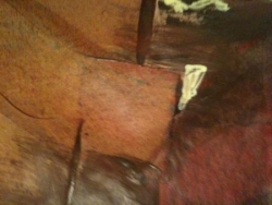 Ligne de fuite 1