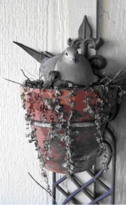 OISEAU BLOG 2.jpg