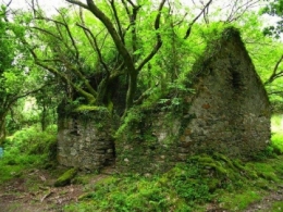 MAISON BLOG.jpg
