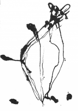 PERRET BLOG.jpg