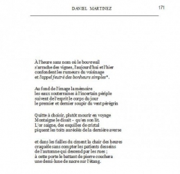 PIROTTE 8.jpg