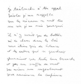 P-DIETERLE 2.jpg