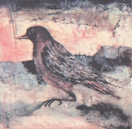 OISEAU.jpg