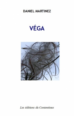 BLOG VEGA 1.jpg